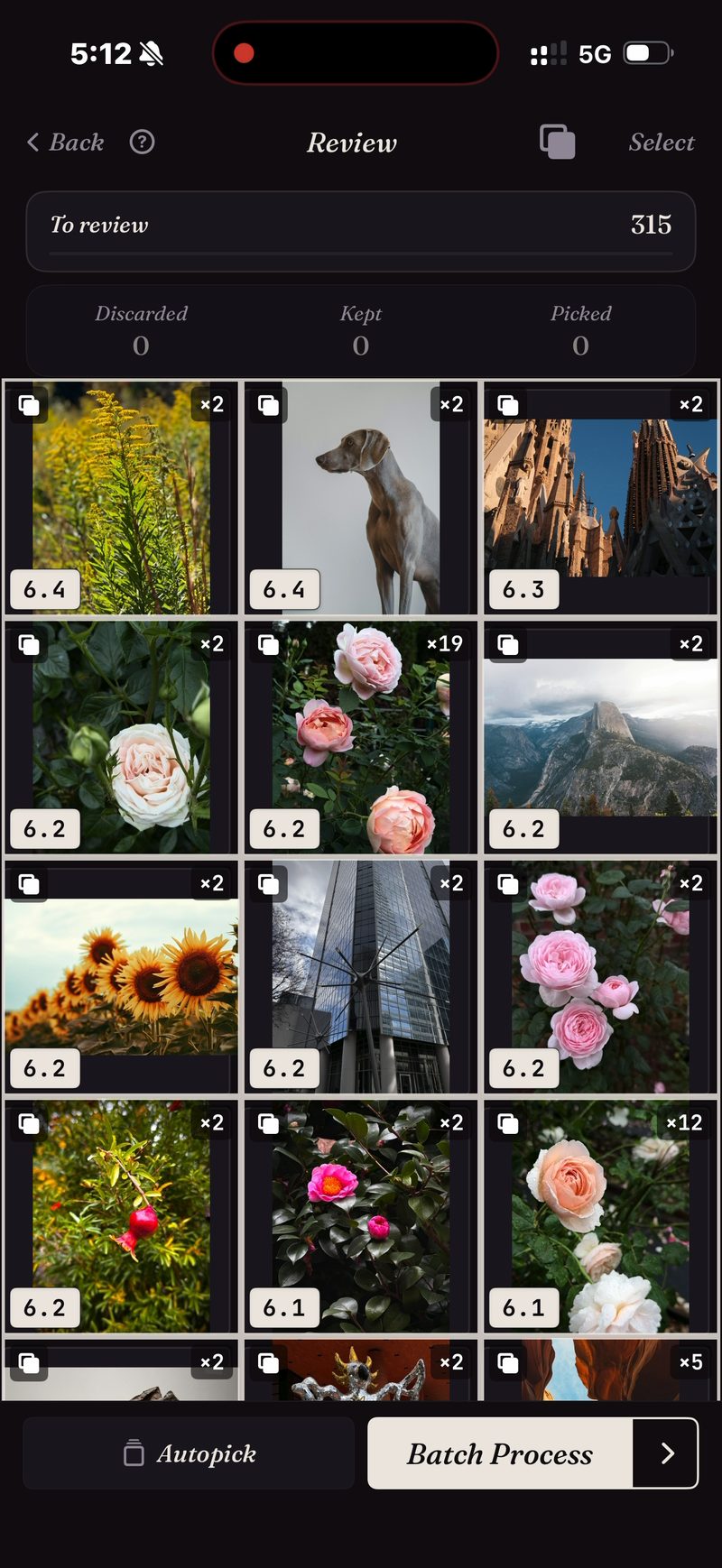 A real SpectraSort dedupe pass — 315 photos in stacks, one flagged ×19, each stack scored