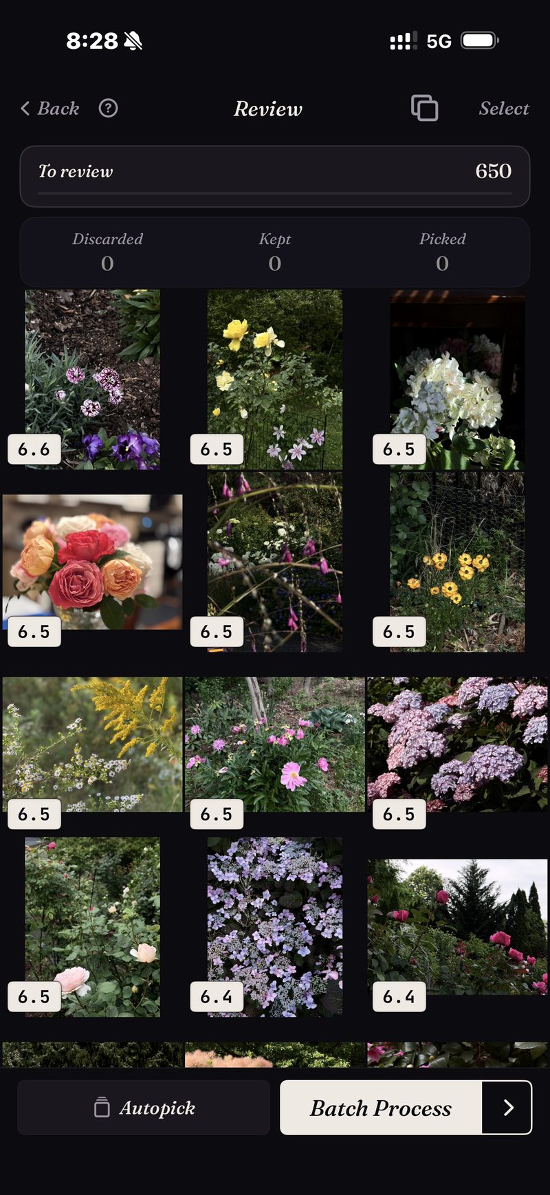 A real subject-search result — 650 flower photos ranked best-first