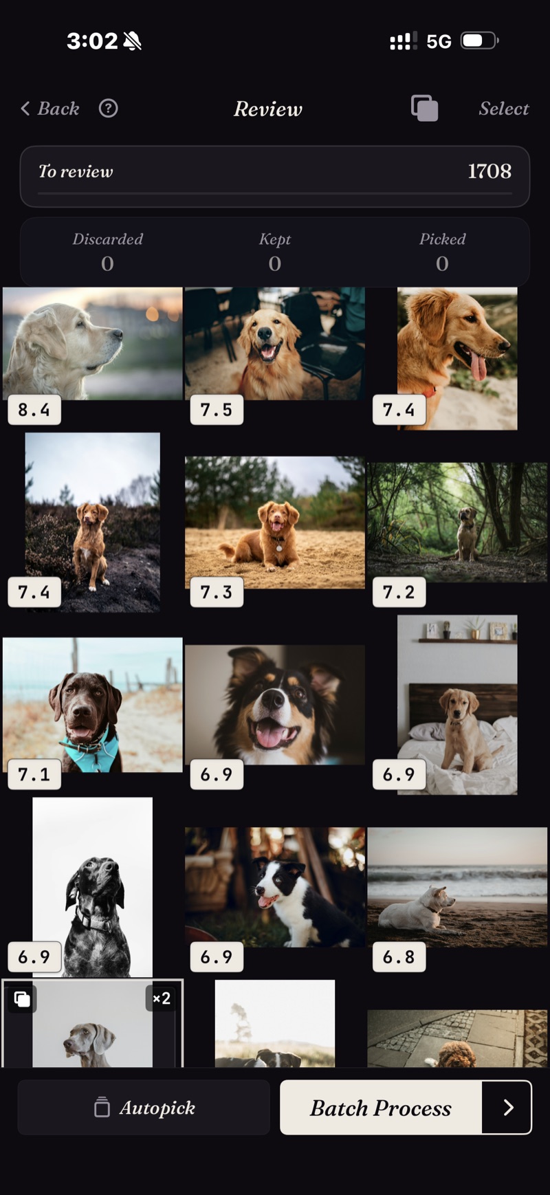 The result — a review grid of look-alike photos, each scored, best first