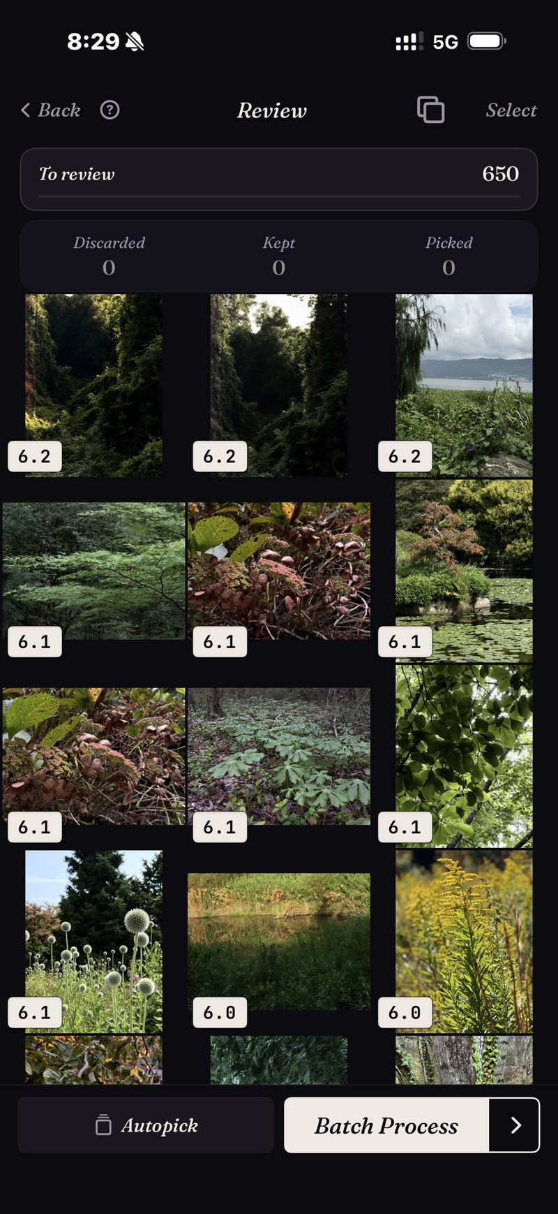 A ranked review of a 650-photo nature slice — scored, best first